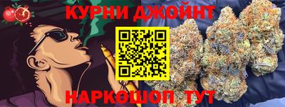 индика Ирбит