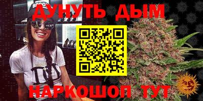 индика Ирбит