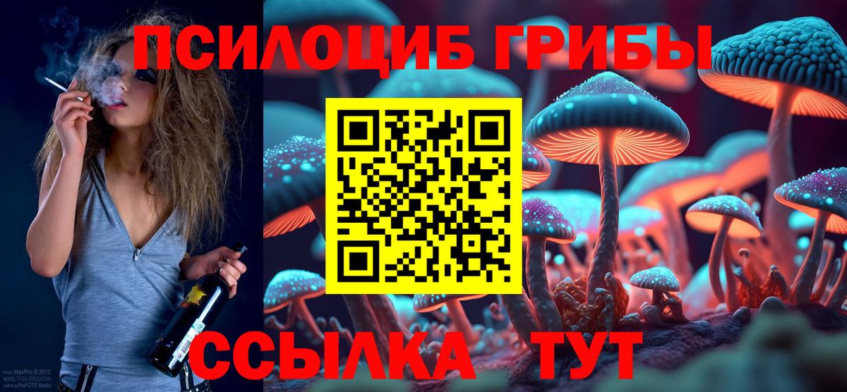 Псилоцибиновые грибы Psilocybine cubensis Карпинск
